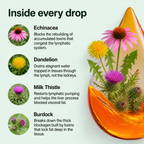 Lynora Lymphatic Drainage Drops